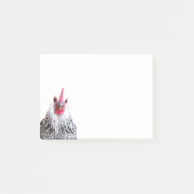 Cute Bantam Cochin Hen Photo 4x3 Notes Post-it Block (Framsida)