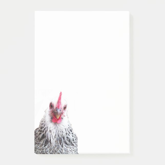 Cute Bantam Cochin Hen Photo 4x6 Notes Post-it Block (Framsida)