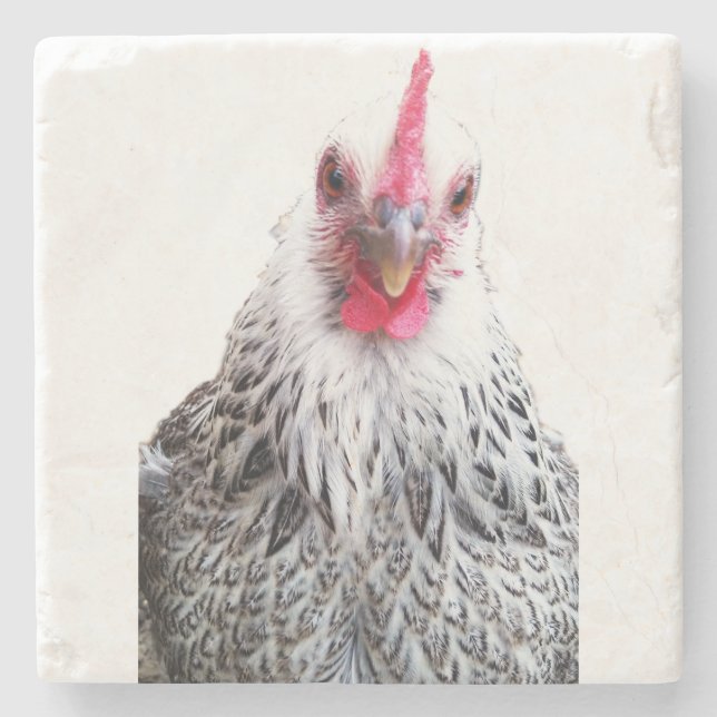 Cute Bantam Cochin Hen Photo Stone Coaster Stenunderlägg (Framsidan)
