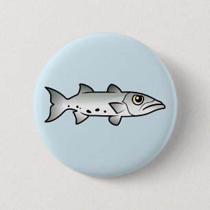 Cute Barracuda Knapp