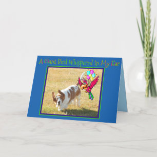 Cute Basset Hound & Bird på ett roligt födelsedags Kort