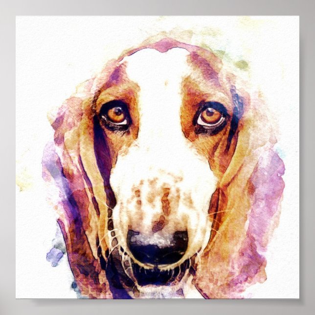 Cute Basset Hound Hund Ansikte Poster (Framsidan)