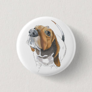 Cute Basset Hound Lovable Close Up Knapp