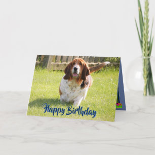 Cute Basset Hound på det fina födelsedagskortet Kort