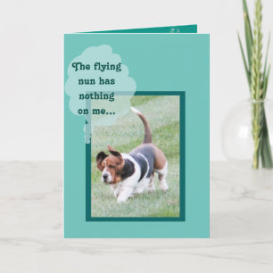 Cute Basset Hound på det fina födelsedagskortet Kort