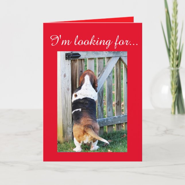 Cute Basset Hound söker efter en Valentine Helgkort (Framsida)