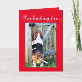 Cute Basset Hound söker efter en Valentine Helgkort