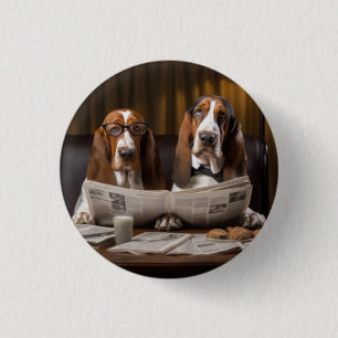 Cute basset hounds läser nyheterna knapp