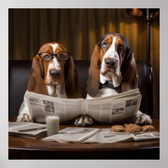 Cute basset hounds läser tidningar poster (Framsidan)