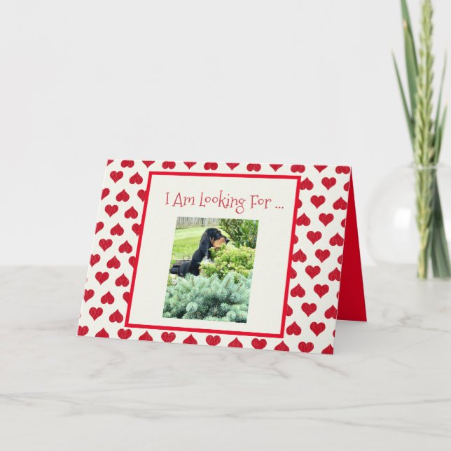 Cute Basset på ett sunt hjärtans dagskort Kort (Framsida)