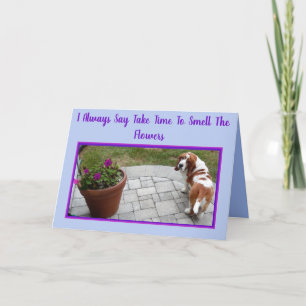 Cute Basset W/Flowers & Ice Cream på födelsedagsko Kort