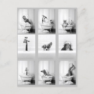 Cute Bathroom Animals i badkar Vykort