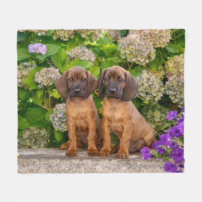 Cute Bavarian Mountain Hound Puppies med blommor Fleecefilt (Framsidan (Horisontell))