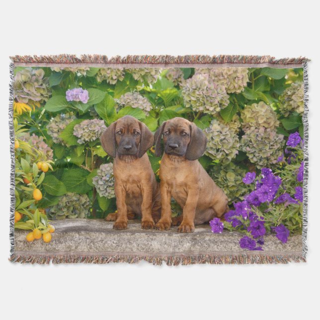 Cute Bavarian Mountain Hound Puppies with Flowers Filt (Framsidan)