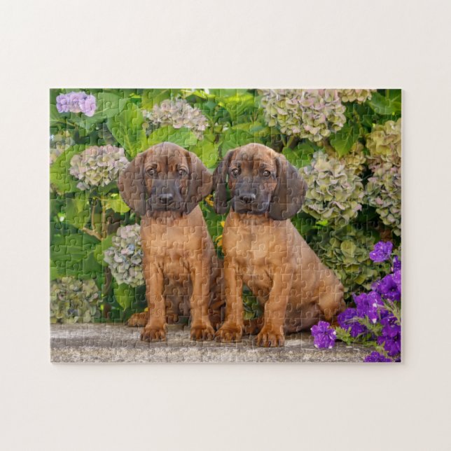 Cute Bavarian Mountain Hound Puppies with Flowers Pussel (Horisontell)