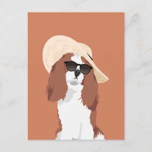 Cute Beach Vacation Cavalier Kung Charles Spain Vykort
