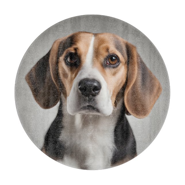 Cute Beagle (Framsidan)