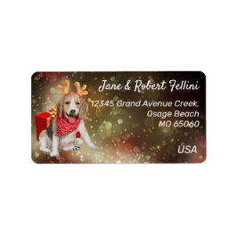 Cute Beagle antlers red box festive anpassningsbar Adressetikett