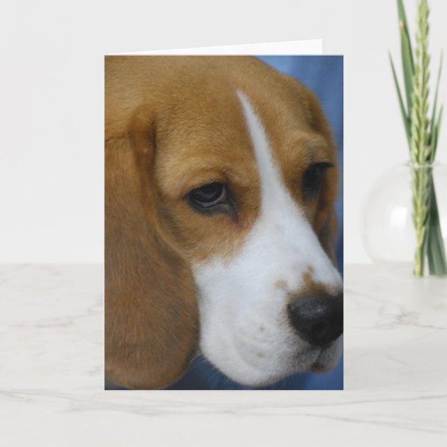 Cute Beagle-hälsningskort Kort (Framsida)
