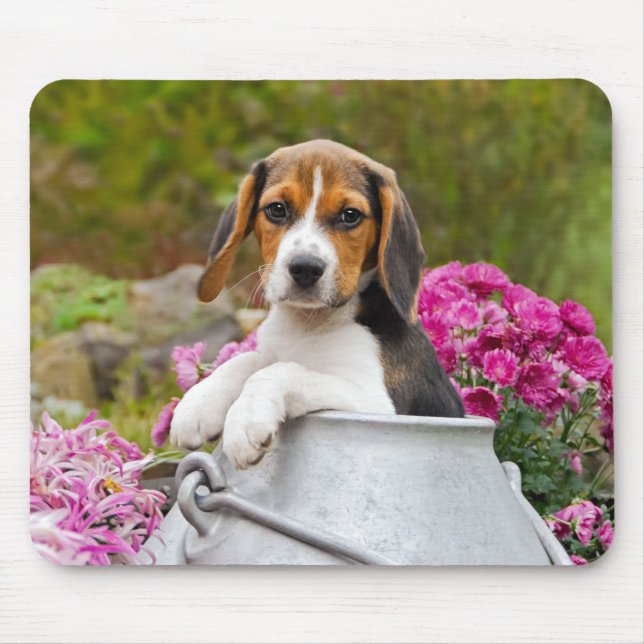 Cute Beagle Hund Puppy i Mjölk Churn - Musmatta (Framsidan)