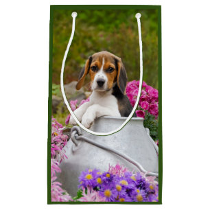 Cute Beagle Hund Puppy in Mjölk Churn with Flowers