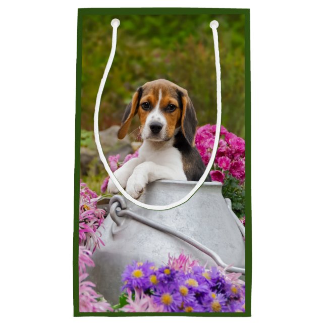 Cute Beagle Hund Puppy in Mjölk Churn with Flowers (Framsidan)
