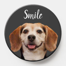 Cute Beagle Hund Smiling