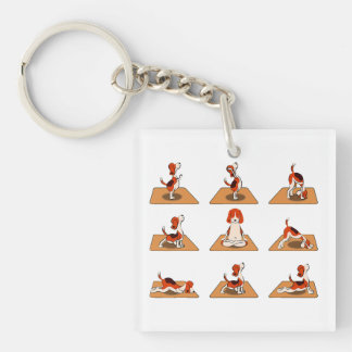 Cute Beagle Hundar Yoga Asana Poses