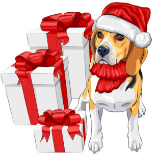 Cute Beagle-jul Vykort