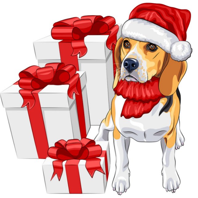 Cute Beagle-jul Vykort (Festive Dog with Santa Claus Hat and Gift Boxes Post Card!)