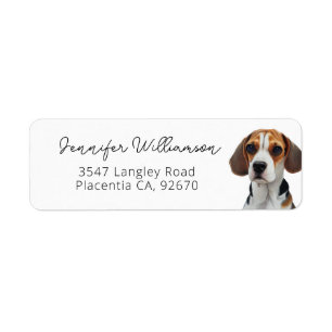 Cute Beagle Porträtt Enkel Returadress Etikett