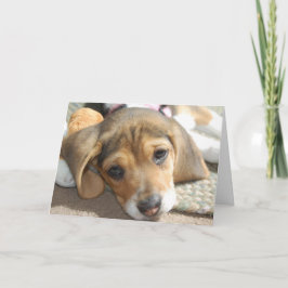 Cute Beagle Puppy Birthday Card Kort