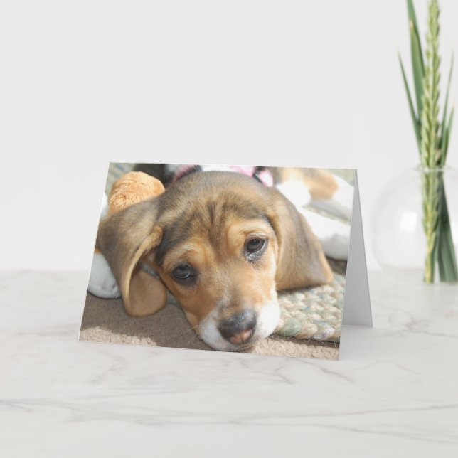 Cute Beagle Puppy Birthday Card Kort (Framsida)