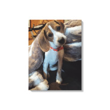 Cute Beagle Puppy med kanvastrycket hårig filtar