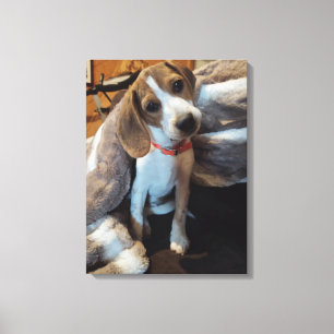 Cute Beagle Puppy med kanvastrycket hårig filtar Canvastryck