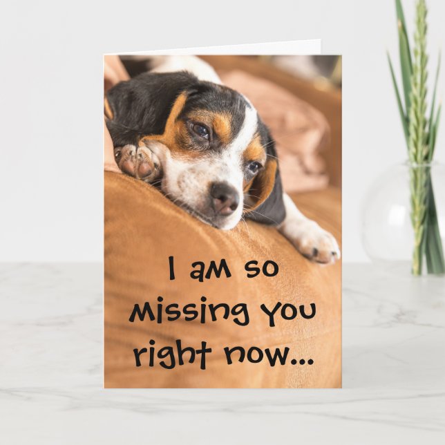 Cute Beagle Puppy saknar citat Kort (Framsida)