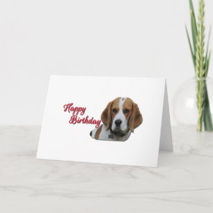 Cute Beagle Tri Färgad Grattis på födelsedagen Red Kort