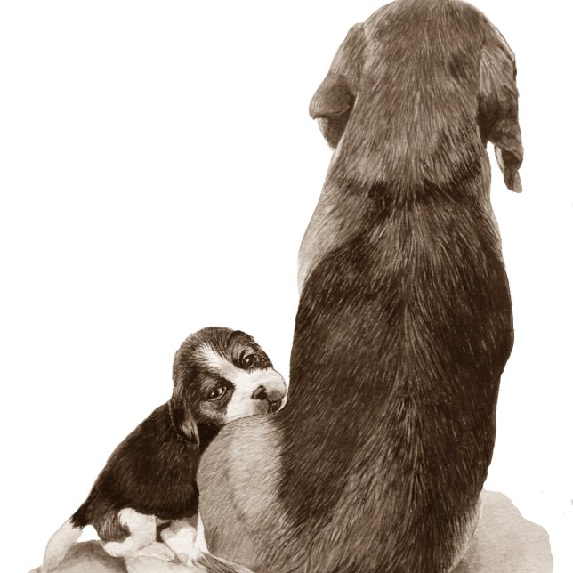 Cute beagle-valp-hund med versaler för pappa kort (Skapare uppladdad)