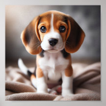 Cute beagle-valp med vacker ögon