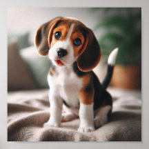 Cute beagle-valp