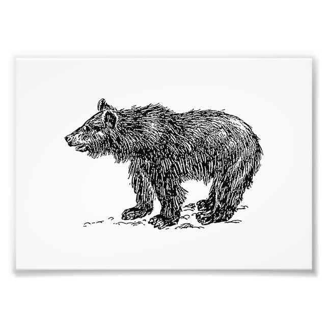 Cute Bear Unge Fototryck (Framsidan)