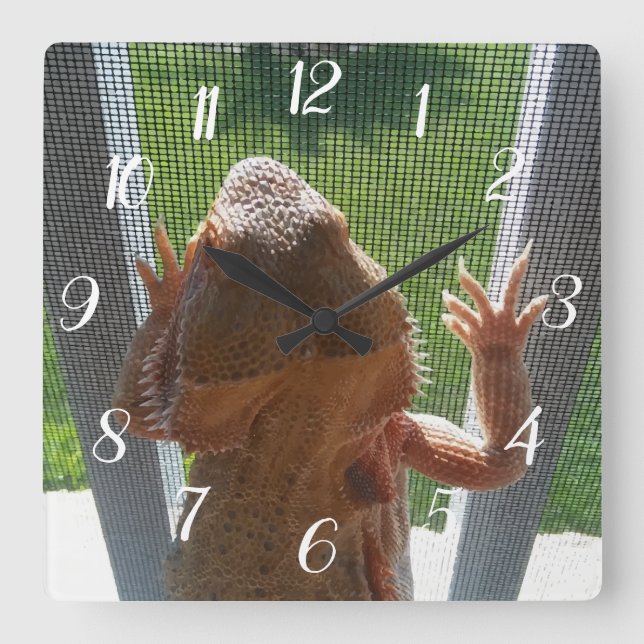 Cute Bearded Dragon klättringsfoto Skriv ut Fyrkantig Klocka (Framsida)