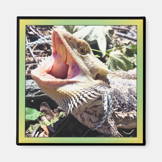 Cute Bearded Dragon Yawning Silent Rebel Yell Magnet (Framsidan)