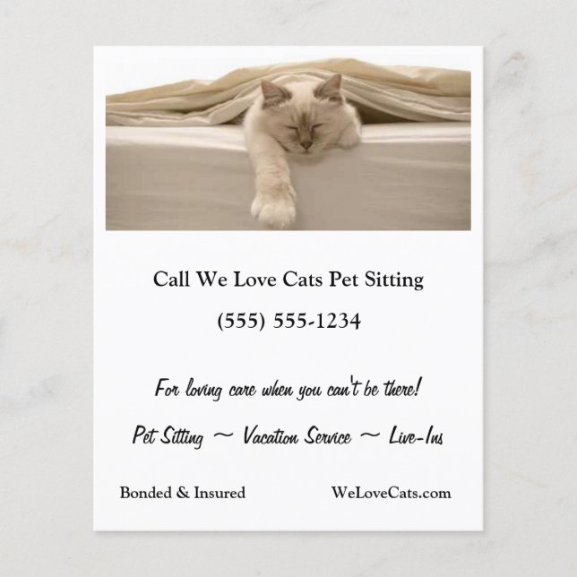 Cute Beige Cat som lämnade Beige Bed Flygblad (Framsidan)