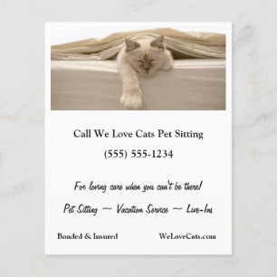Cute Beige Cat som lämnade Beige Bed Flygblad