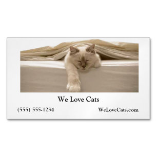 Cute Beige Cat som lämnade Beige Bed Magnetiska Visitkort