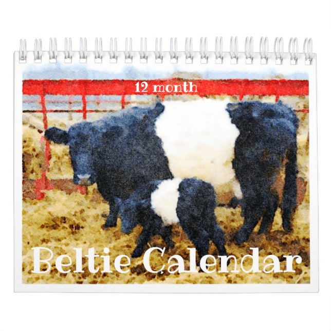 Cute Beltie Stripe Cow Calendar Kalender (Omslag)