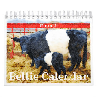 Cute Beltie Stripe Cow Calendar Kalender