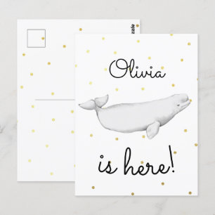 Cute Beluga Whale Newborn Baby Birth Notice Vykort