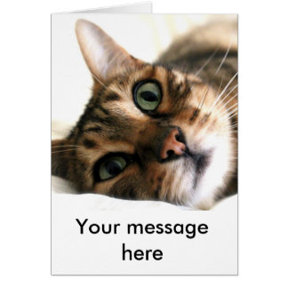 Cute Bengal Cat in Bed Anpassningsbar Card Hälsningskort